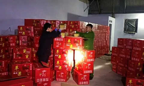 Công an thị xã Việt Yên, Bắc Giang thu giữ gần 11 tấn pháo nổ