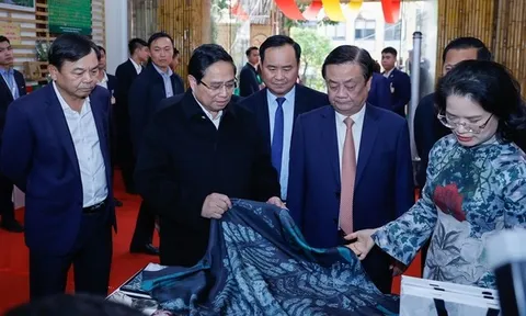 Nông nghiệp Việt Nam lập kỷ lục mới về xuất khẩu và xuất siêu