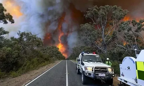 Thảm họa cháy rừng ở Australia: 74.000ha rừng bị thiêu rụi