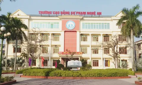 Trường cao đẳng Y tế Hải Dương, cao đẳng Sư phạm Nghệ An sáp nhập vào trường đại học