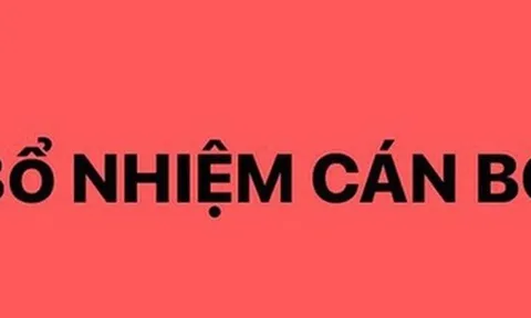 Thủ tướng Chính phủ bổ nhiệm lại 2 Thứ trưởng Bộ Tư pháp