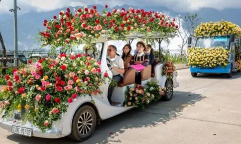 Sa Pa thu ngân sách đạt hơn 1.300 tỷ đồng