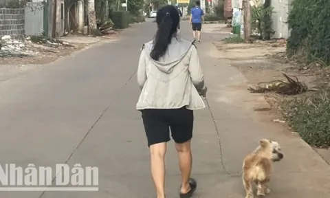 Trường hợp tử vong nghi do bệnh dại ở Đắk Lắk