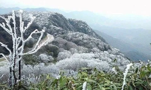 Thời tiết hôm nay (10-1): Không khí lạnh mạnh tràn về, Bắc Bộ rét đậm, có thể có băng giá