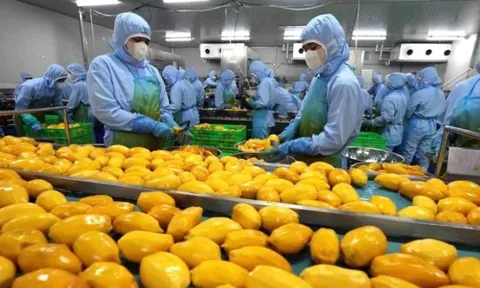 Nhiều dư địa để Việt Nam tăng xuất khẩu nông sản, thực phẩm sang thị trường Anh