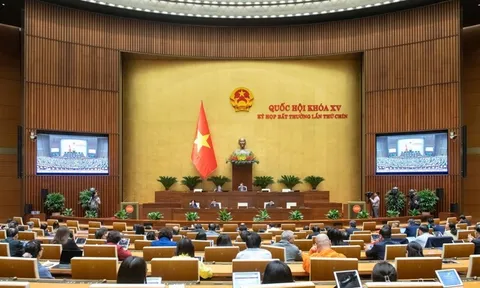 Quốc hội xem xét công tác nhân sự trong tuần làm việc cuối của kỳ họp