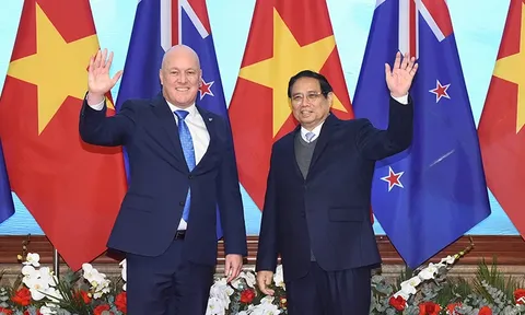 Thủ tướng Phạm Minh Chính hội đàm với Thủ tướng New Zealand
