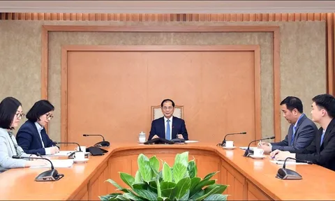 Phó thủ tướng Chính phủ, Bộ trưởng Ngoại giao Bùi Thanh Sơn điện đàm với Bộ trưởng Ngoại giao Thổ Nhĩ Kỳ