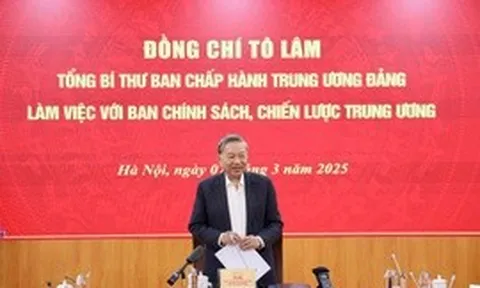 Tổng Bí thư Tô Lâm: Phải có chiến lược rõ ràng phát triển kinh tế tư nhân