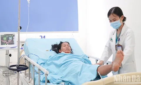 Cứu sống bệnh nhân ngộ độc nguy kịch do ăn cá nóc