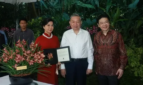 Hoa phong lan 'Papilionanda Tô Lâm Linh Ly': Biểu tượng mới của tình hữu nghị Việt Nam và Singapore