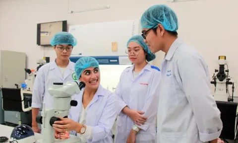 Đại học Quốc gia Thành phố Hồ Chí Minh có 15 ngành thuộc tốp 500 thế giới