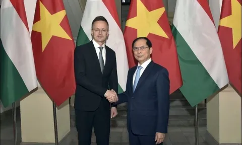 Việt Nam - Hungary đẩy mạnh hợp tác trên nhiều lĩnh vực tiềm năng