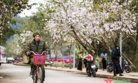 Thời tiết hôm nay (25-3): Miền Bắc nắng nóng trước khi chuyển lạnh, cao nhất 32 độ C