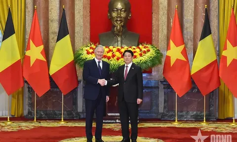 Chủ tịch nước Lương Cường và Nhà vua Bỉ Philippe hội kiến