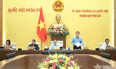 Xác lập rõ mô hình tổ chức chính quyền địa phương 2 cấp