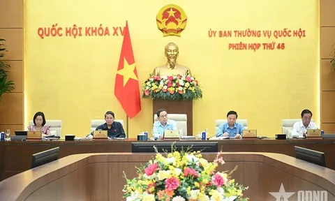 Hoàn thiện cơ chế thu hút người có tài năng trong hoạt động công vụ
