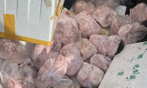 400kg thịt heo không rõ nguồn gốc ở Đắk Lắk bị tiêu hủy
