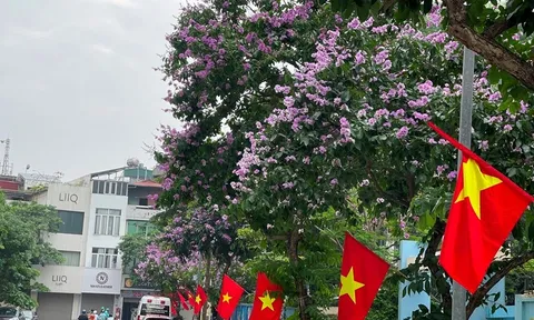 Thời tiết hôm nay (4-6): Miền Bắc chiều có mưa rào và dông