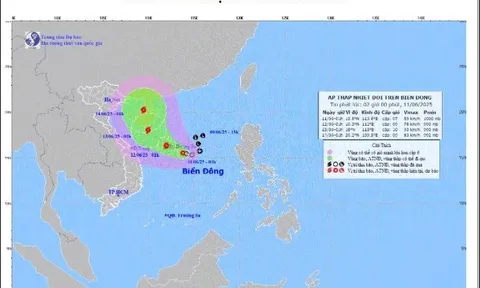 Thời tiết hôm nay (11-6): Áp thấp nhiệt đới di chuyển chậm trên Biển Đông