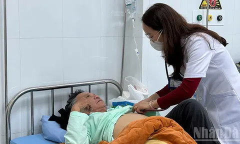 Lâm Đồng: Liên tiếp ca ngộ độc nấm rừng, chuyên gia khuyến cáo không tự nếm thử các loại nấm chưa được kiểm chứng