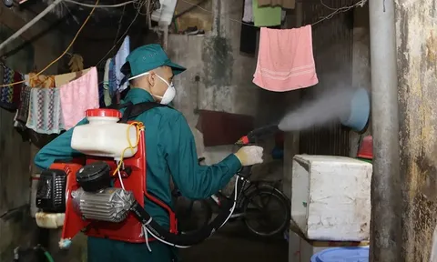 Hà Nội: Số ca mắc sốt xuất huyết, tay chân miệng tăng