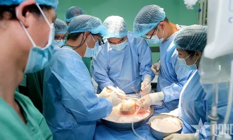 Hành trình thực hiện 4 ca ghép tạng xuyên Việt của Bệnh viện Trung ương Huế