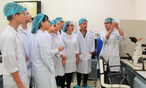 Đại học Quốc gia Thành phố Hồ Chí Minh đứng trong tốp 801-850 các đại học xuất sắc thế giới