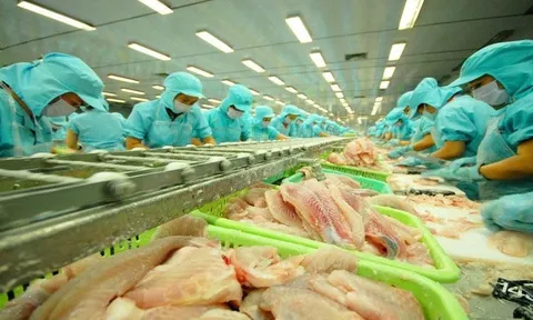 Mỹ miễn thuế chống bán phá giá cho 7 doanh nghiệp cá tra Việt Nam