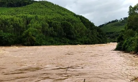 Lũ trên sông Cầu và sông Thương tiếp tục lên cao
