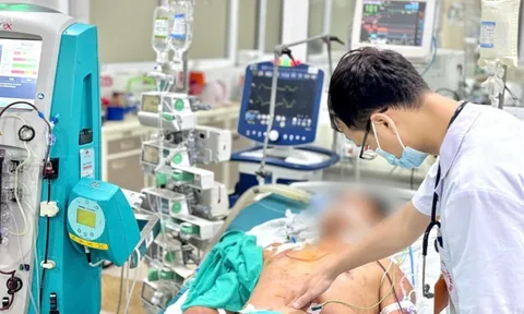 Ba ngày sau khi ăn tiết canh, người đàn ông tím toàn thân do liên cầu lợn