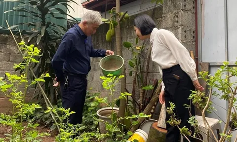 Hà Nội: Số ca mắc sốt xuất huyết tăng