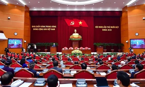 Bộ Chính trị, Ban Bí thư chỉ đạo về hoạt động của tổ chức cơ sở đảng thời gian tới