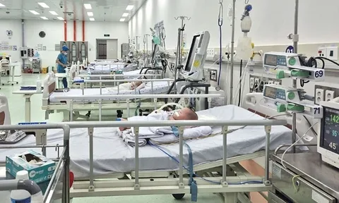 TP Hồ Chí Minh phòng, chống sốt xuất huyết trong cao điểm mùa mưa