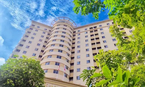 272 thí sinh trúng tuyển thẳng Trường đại học Y Hà Nội