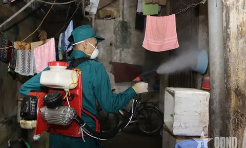 Chủ động các biện pháp phòng, chống dịch sốt xuất huyết