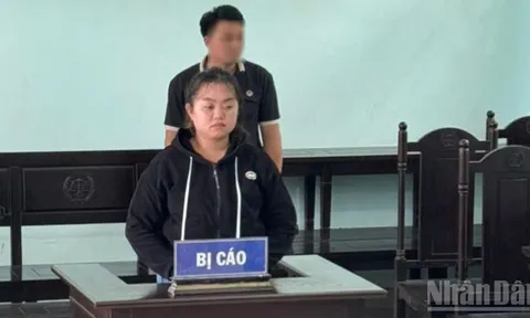 Tuyên phạt bảo mẫu bạo hành trẻ em 12 tháng tù treo