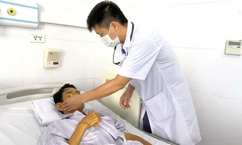 Suy gan, suy thận cấp do xoắn khuẩn Leptospira xâm nhập từ vết thương nhỏ