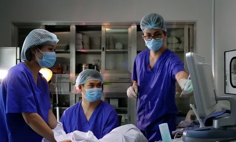 Phụ nữ độc thân tại Việt Nam có quyền làm thụ tinh trong ống nghiệm khi "có nguyện vọng"