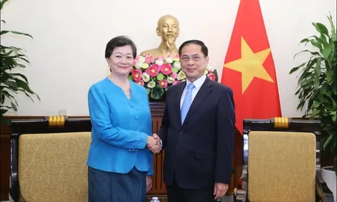 Phó thủ tướng, Bộ trưởng Bộ Ngoại giao Bùi Thanh Sơn tiếp Đại sứ Campuchia
