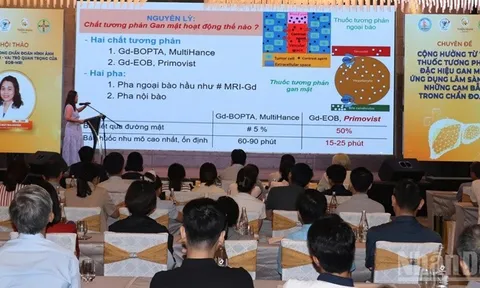 Cập nhật các tiến bộ y học trong chẩn đoán hình ảnh và điều trị bệnh lý gan mật