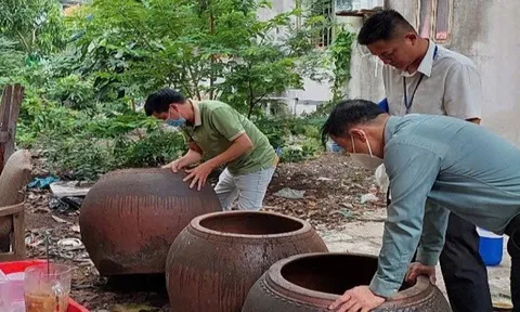 Phân biệt dấu hiệu mắc Chikungunya với sốt xuất huyết
