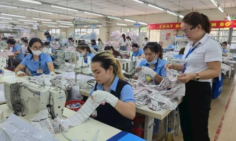 Nhận diện, xử lý bất cập trong pháp luật kinh doanh