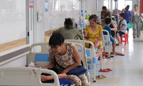 Cần Thơ: Chủ động ứng phó dịch sốt xuất huyết