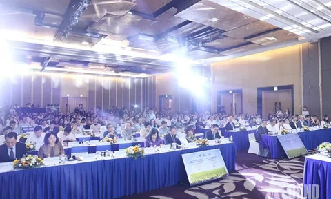 Hội thảo khoa học quốc tế về dinh dưỡng học đường năm 2025