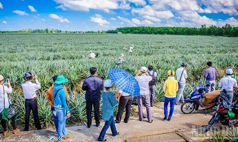 Khai thác tiềm năng du lịch sinh thái