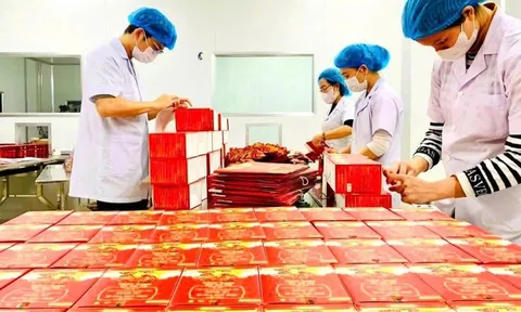 Công ty cổ phần Thương mại phát triển Châu Anh: Hành trình biến cây Shachi từ nương rẫy đến tay người tiêu dùng