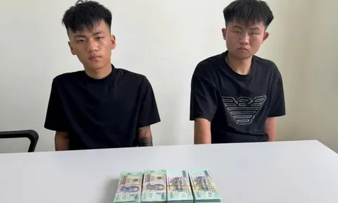 Đà Nẵng bắt hai đối tượng người nước ngoài sau 6 giờ gây án