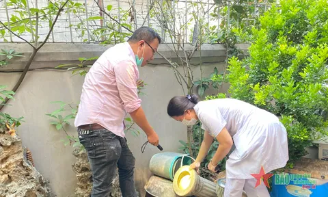 Hà Nội quyết liệt phòng, chống sốt xuất huyết mùa cao điểm