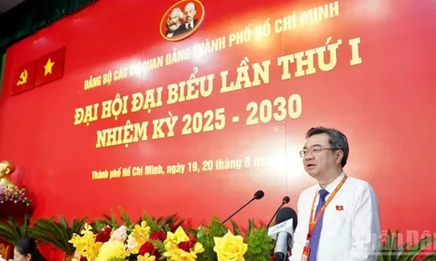 Nâng cao năng lực lãnh đạo, sức chiến đấu của các tổ chức đảng và chất lượng đội ngũ cán bộ, đảng viên